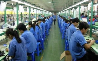 佛山市勞務市場解析 勞務派遣、勞務外包與職業中介活動詳解