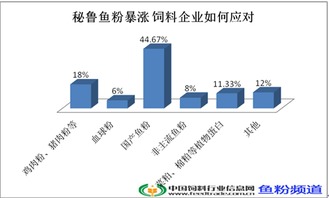 代辦昌平區勞務派遣許可證、公司增資墊資與專業勞務派遣服務全攻略