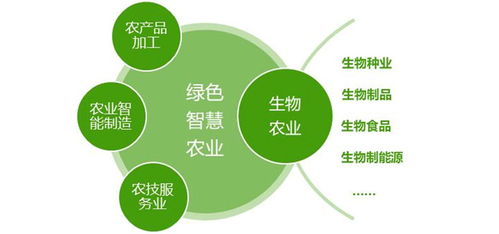 縣域經(jīng)濟(jì)背景下國(guó)家級(jí)農(nóng)業(yè)高新區(qū)的發(fā)展模式 以教育軟硬件研發(fā)為驅(qū)動(dòng)